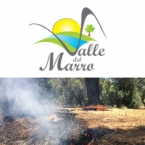 GOEL condanna i vili atti di sabotaggio alla Valle del Marro GOEL condanna i vili atti di sabotaggio alla Valle del Marro