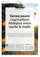 Click here to download <Terra Nuova - L'agricoltura biologica vince anche le mafie>