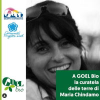 A GOEL Bio la curatela delle terre di Maria Chindamo A GOEL Bio la curatela delle terre di Maria Chindamo