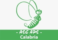 Bando Servizio Civile Universale 2026